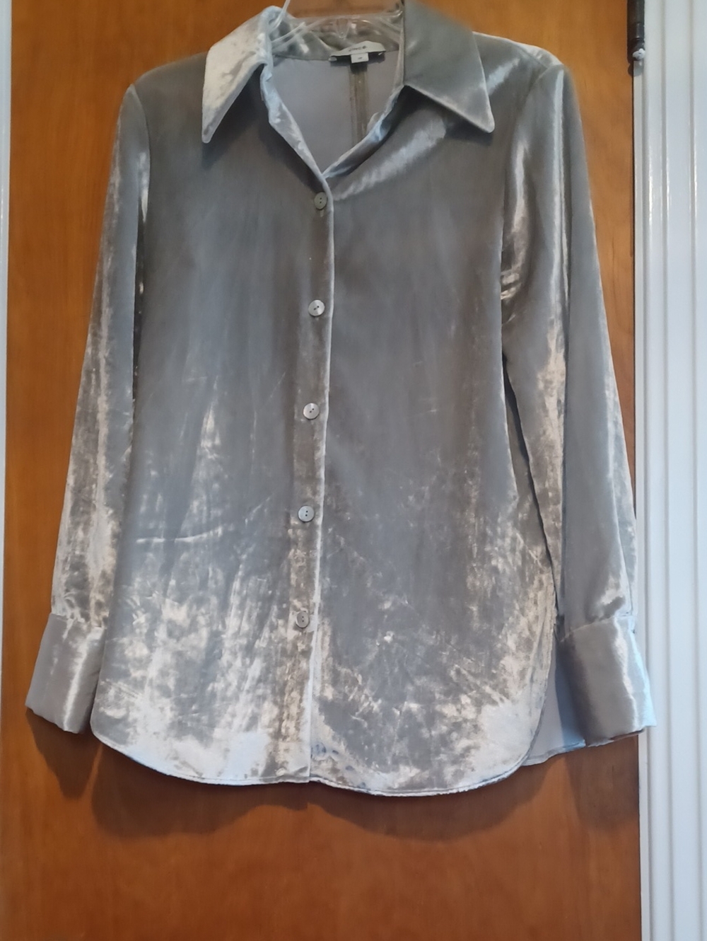 Vince Velvet Shimmery Silver Long Sleeve Blouse Sz.S. Pearl Buttons! Elegant!EUC - Picture 4 of 7